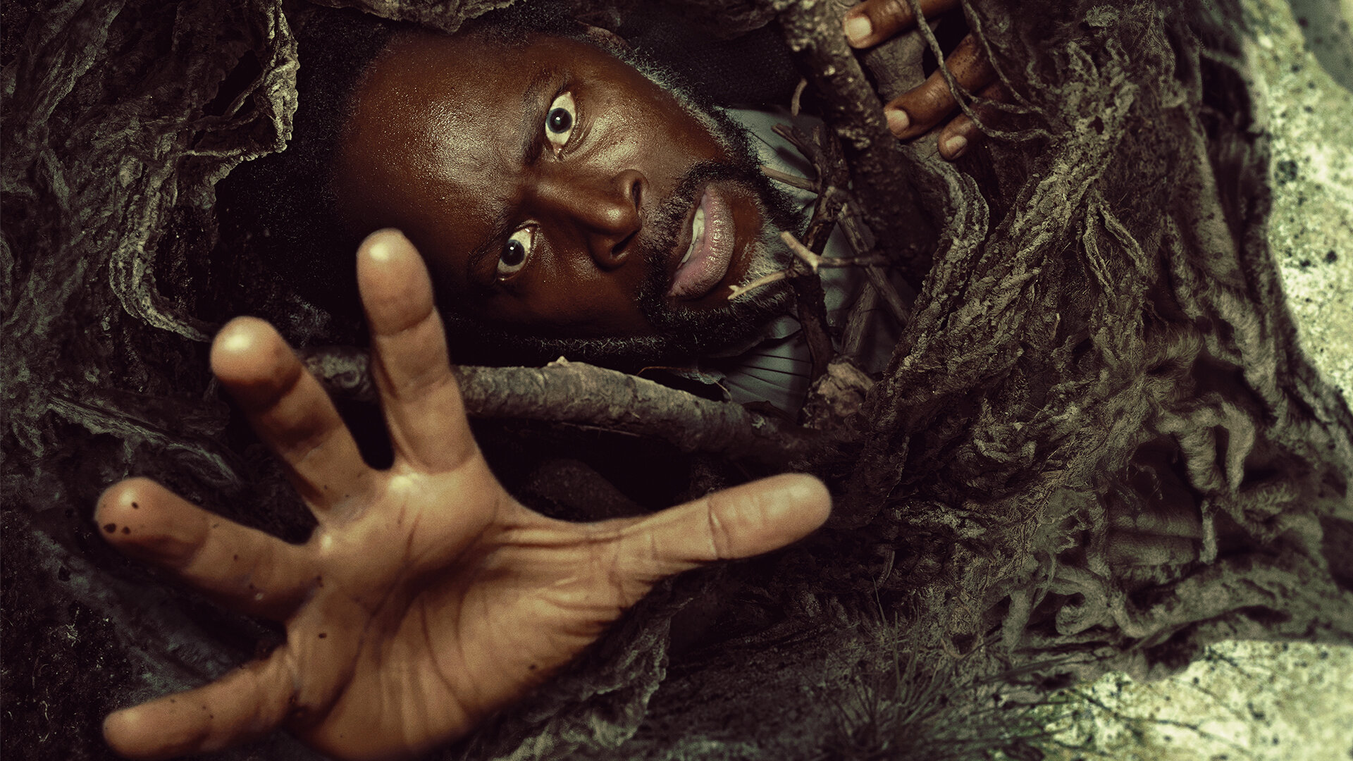 B sta Filmerna Och Tv serierna Att Streama Webbtv se